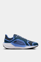 Nike - Air Zoom Pegasus 41 GTX