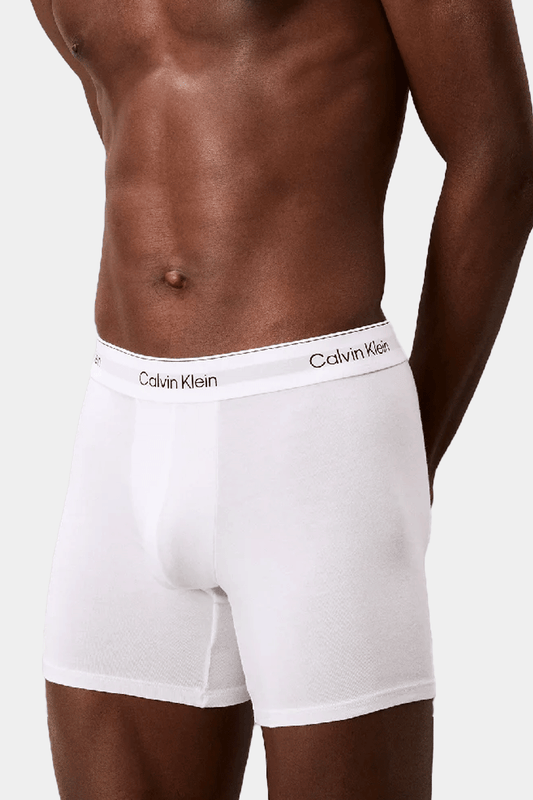 Calvin Klein - 3 Boxer Briefs